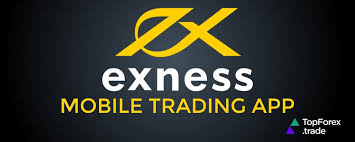 Comprehensive Guide to Exness Trading
